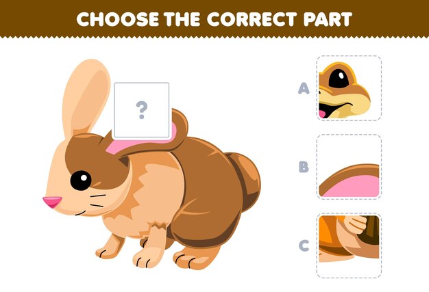 Gioco di istruzione scegliere la parte corretta per completare cartone animato coniglio immagine foglio di lavoro per animali domestici stampabile.
