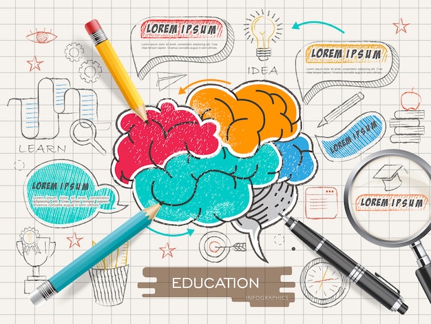 Disegno del modello di educazione infografica con cervello colorato in stile doodle