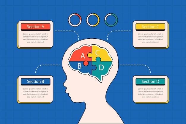 Vector education infographic template for presentation