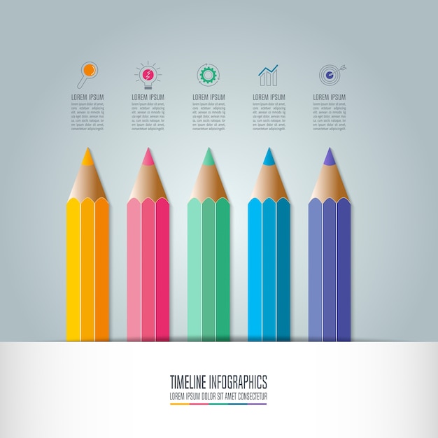 Education infographics template 5 step option