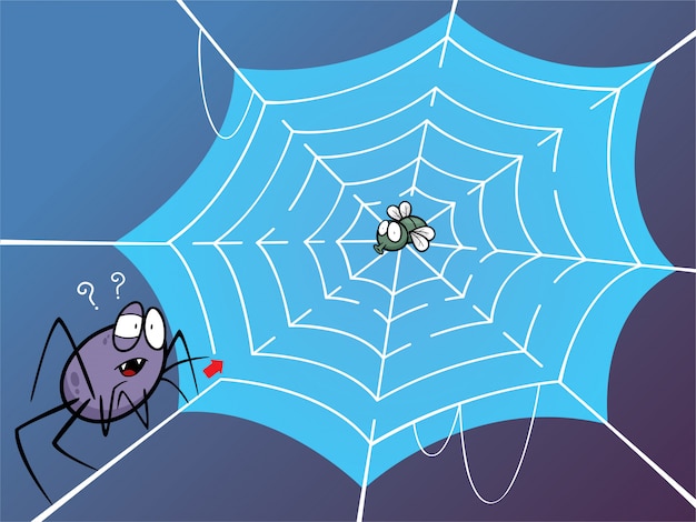 Education maze game spider web