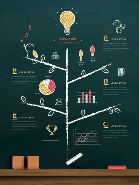 Education tree drawn on chalkboard with lovely icons and chart