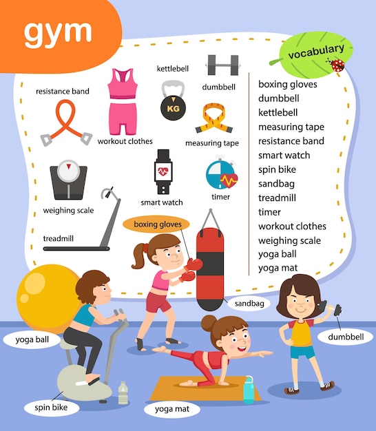 Education vocabulary gym vector illustration