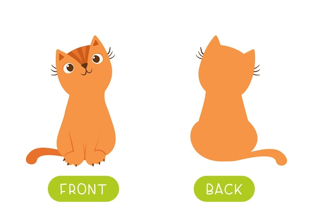 Vector educational antonyms word card with cats