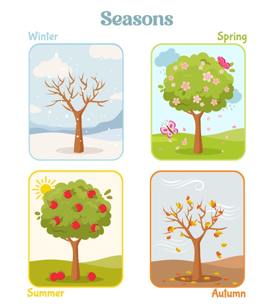 Vettore carte educative con le quattro stagioni dell'anno per l'apprendimento del tema delle stagioni per i bambini