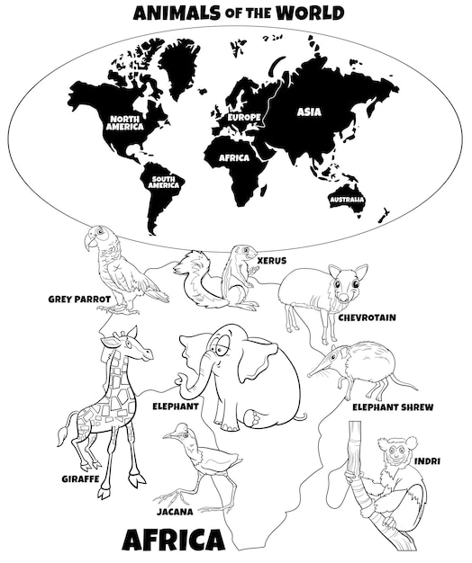 Vettore illustrazione educativa con cartone animato animali africani libro da colorare pagina