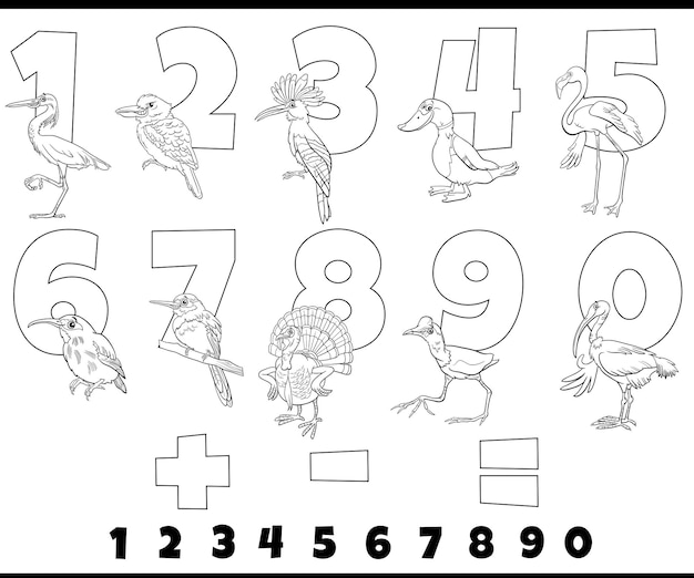 Vector educational numbers set with comic birds coloring page