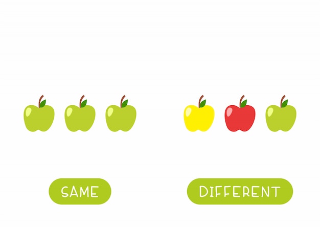 Educational word card for children template. Flash card for language studying with apples. Antonyms, diversity concept. Same and different fruits flat illustration with typography