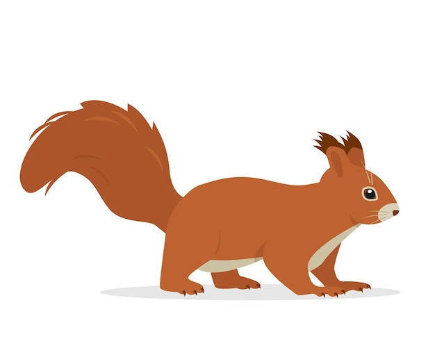 Eekhoorn dier icoon Rode eekhoorn met pluizige staart Wild zoogdier bosdier karakter