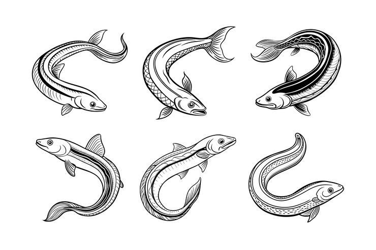 Vector eel fish logo vector design labeled line art silhouette illustration