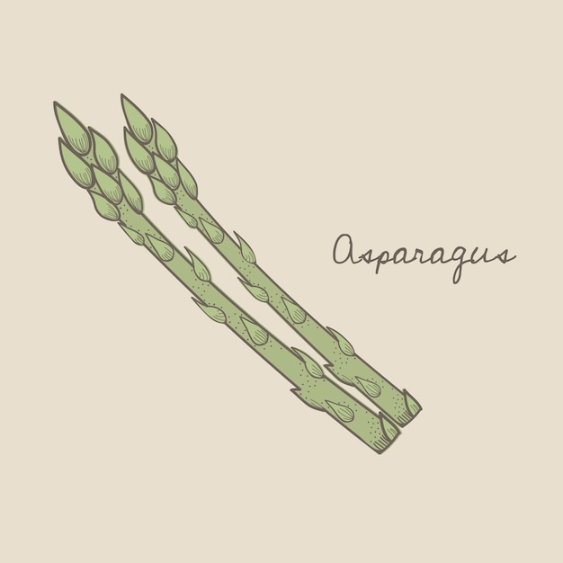 Een asperge