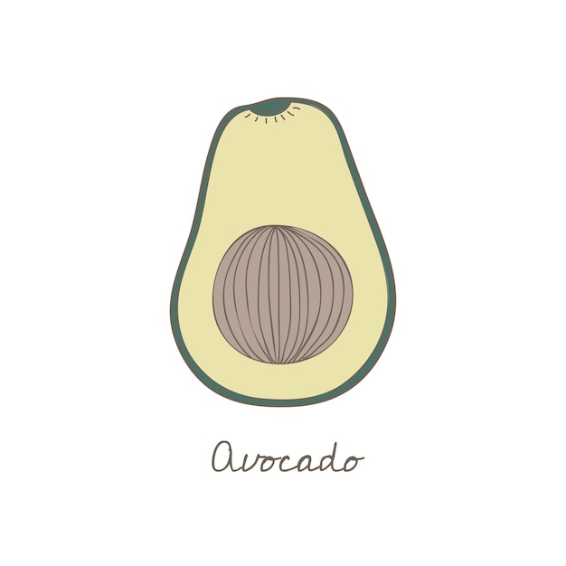 Een avocado