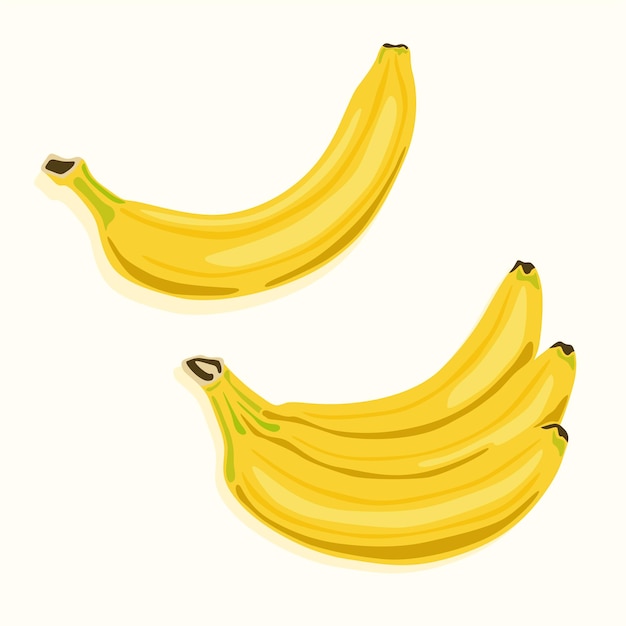 Een banaan en een tros gele bananen Gezond en biologisch voedsel Fruit iconen