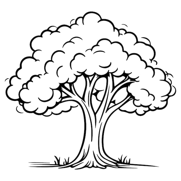 Een boom met een boomomtrek