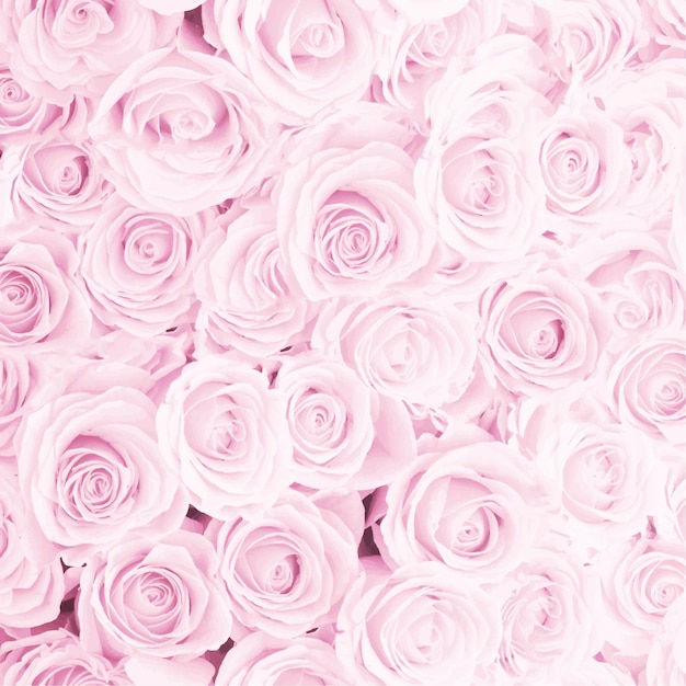 Een bos roze rozen met een roze achtergrond.