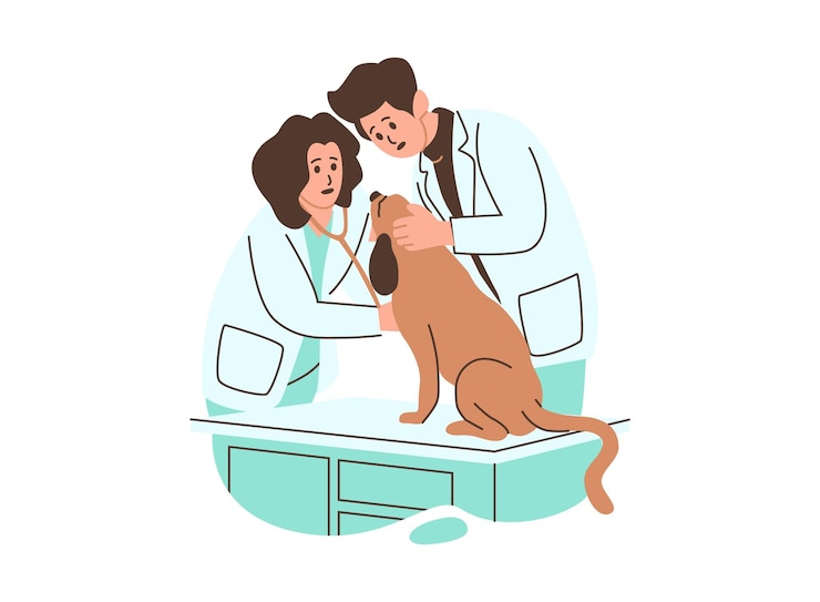 Vector een cartoon illustratie van twee dierenartsen die een hond onderzoeken in een kliniek