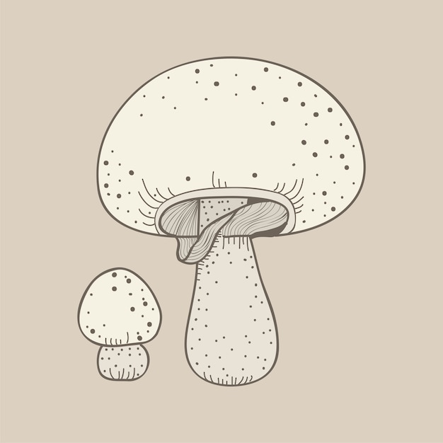 een champignon