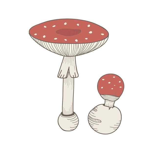 een champignon