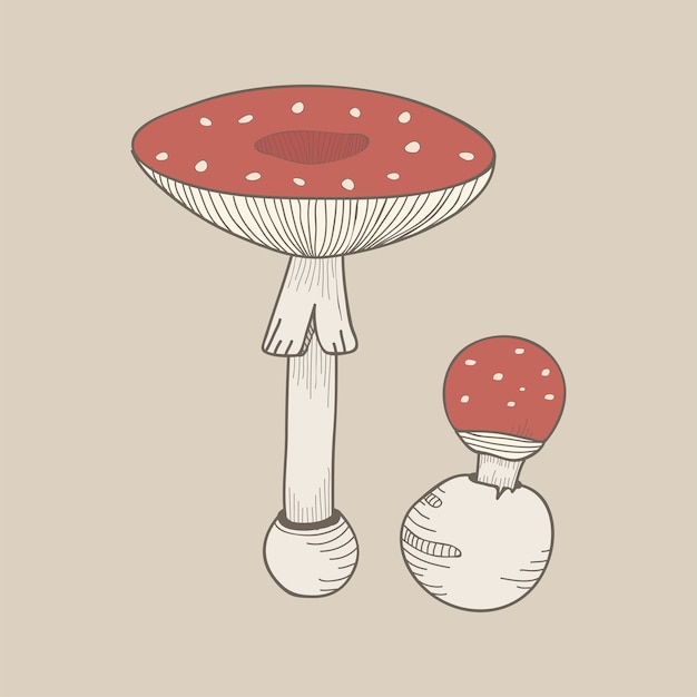 een champignon