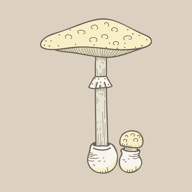 een champignon