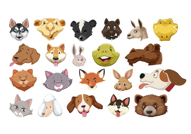 een collage van dieren met een hondengezicht bovenop