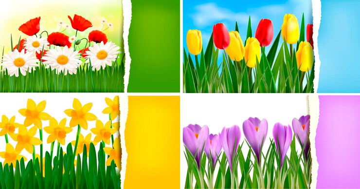 Vector een collage van verschillende bloemen met het woord lente erop.