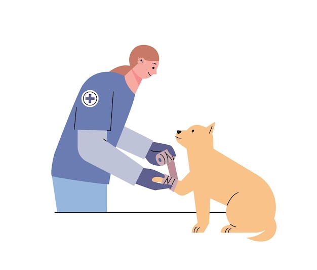 Een dierenarts verbindt het been van een gewonde hond. platte vectorillustratie.