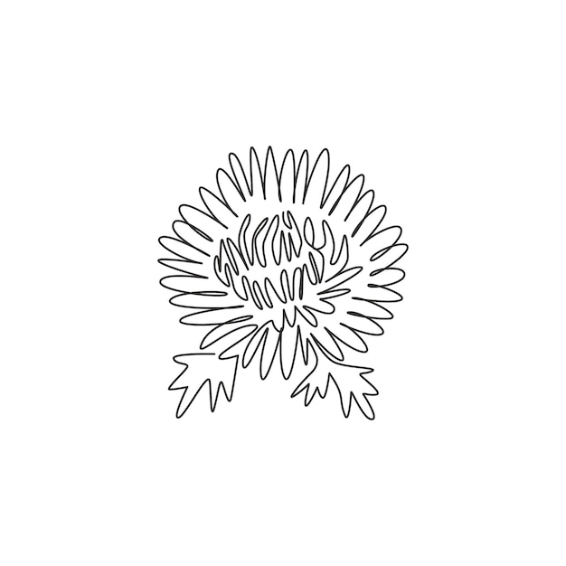 Eén doorlopende lijntekening chrysant tuin logo Decoratieve chrysant bloem ontwerp vector