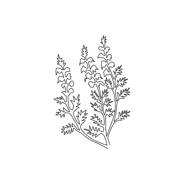 Een doorlopende lijntekening gemeenschappelijke heide decor muurposter Calluna vulgaris bloem ontwerp vector