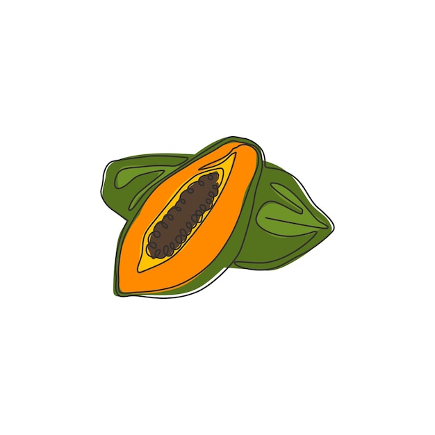 Eén doorlopende lijntekening, half gesneden hele biologische papaja's boomgaard logo vers fruit icoon