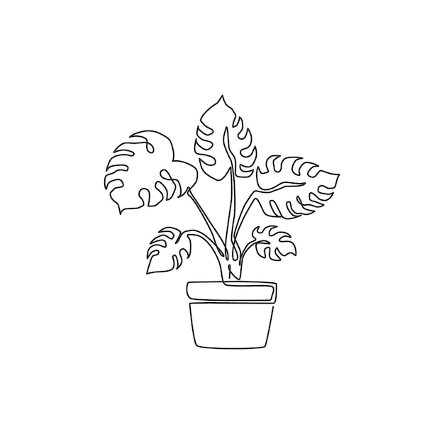 Eén doorlopende lijntekening schoonheid tropisch blad monstera plant Enkele lijn teken ontwerp vector