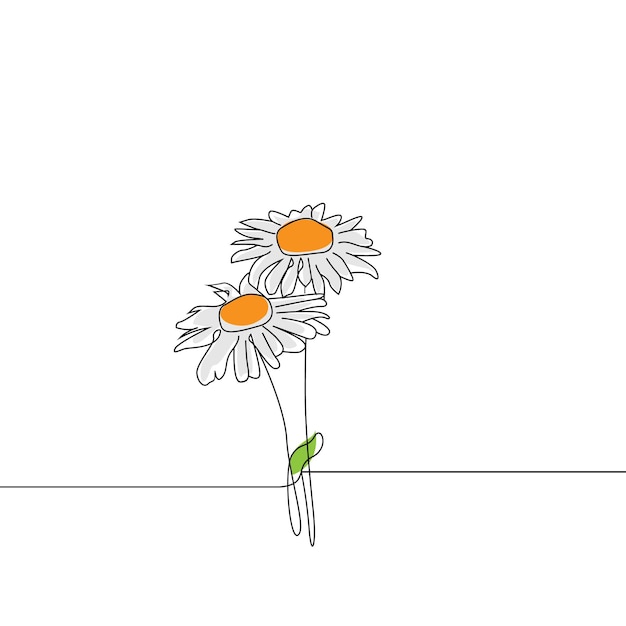 Een enkele lijntekening van schoonheid madeliefje bloem geïsoleerd op een witte achtergrond