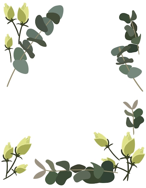 Vector een frame van witte roos toppen met groene eucalyptus twijgen op een witte achtergrond delicate achtergrond