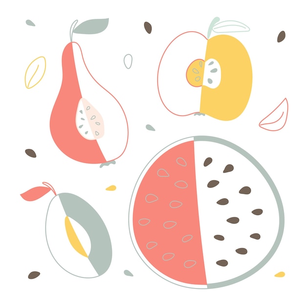 Een gestileerde set van fruit en bessen Stijlvolle kleurrijke illustratie appel peer pruim watermeloen