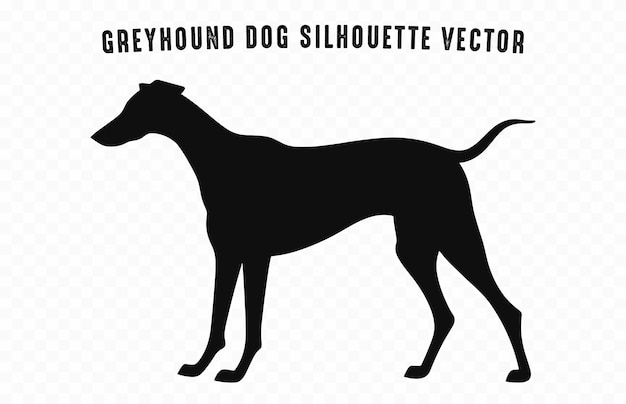 Een Greyhound Dog zwarte silhouet vector geïsoleerd op een witte achtergrond