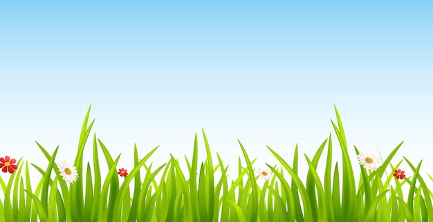 een groen gras met een rode bloem erop