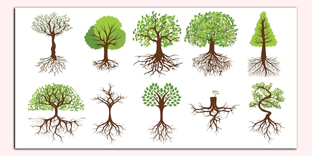 Vector een groep bomen met de woorden bomen erop