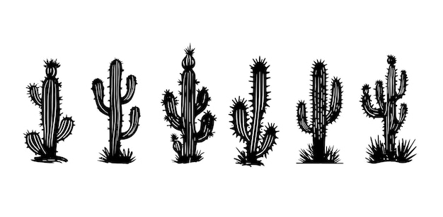 Een groep cactussen met bovenaan de letters cactussen.