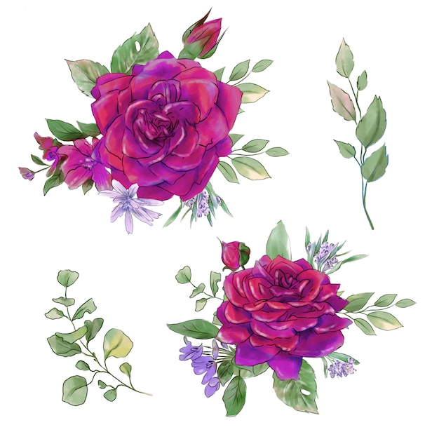 Een groot aantal aquarellen zachte rozen super kwaliteit.