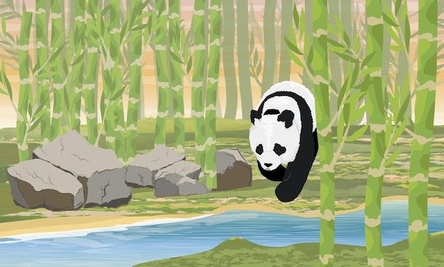 Een grote panda gaat naar het water door een bamboebos aziatische dieren china realistische vector