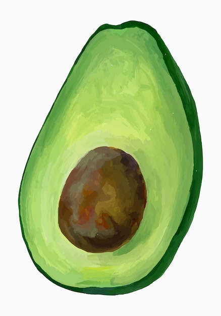 Een halve avocado acryl schilderij vector trace Tropische groente geïsoleerd op een witte achtergrond