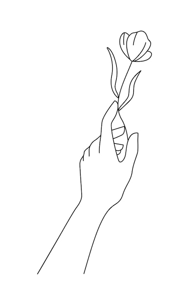 Een hand houdt een bloem vast. Minimale lineaire bohohand met bloem. Logo voor cosmetica, schoonheidsindustrie