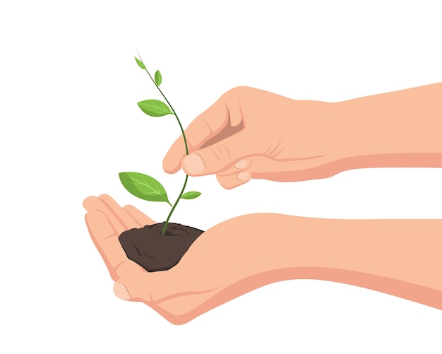 Een hand met een boompje in de grond die voor de natuur zorgt een plant plant ecologie groene bladverzorging