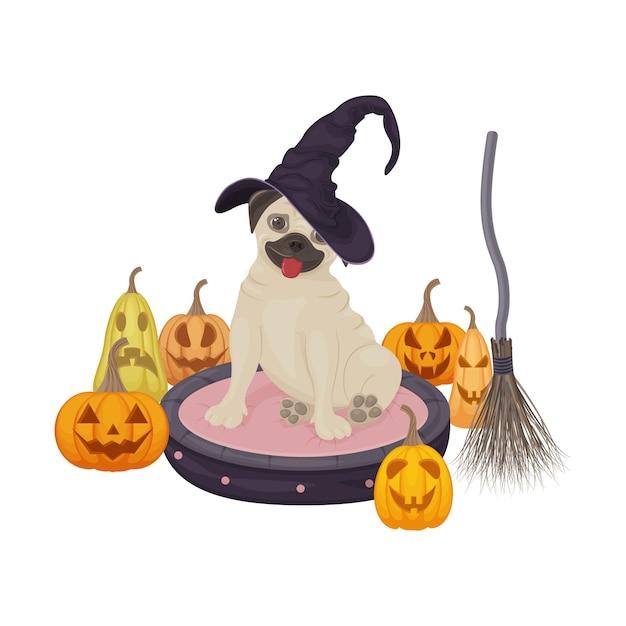 Een heldere leuke illustratie voor de Halloween-vakantie Met de afbeelding van een mopshond in een heksenhoed omringd door jacko-lantaarns een heksenbezem Het feest van Allerheiligen halloween Vector