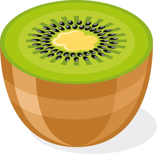 Een helft van kiwi fruit vector beeld voedsel illustratie