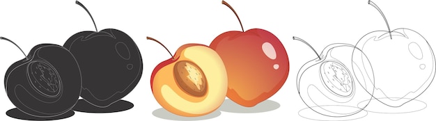 Een illustratie van perziken en een perzik