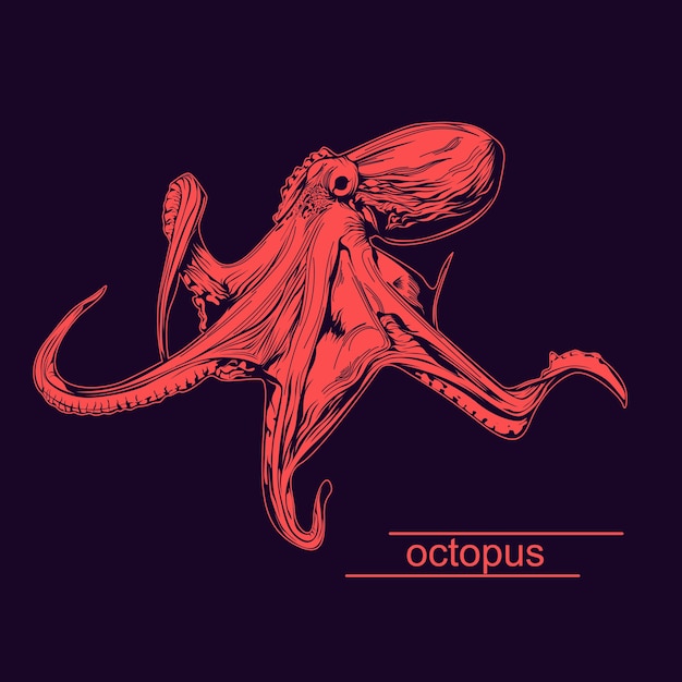 Een kleur octopus illustratie