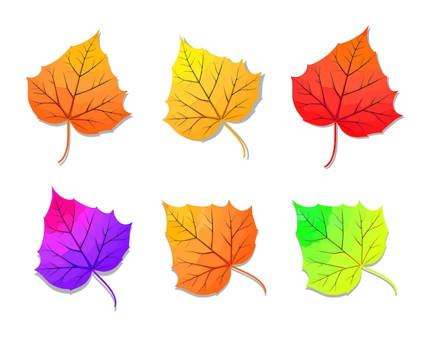 Vector een kleurrijk blad met de kleuren van de herfst erop