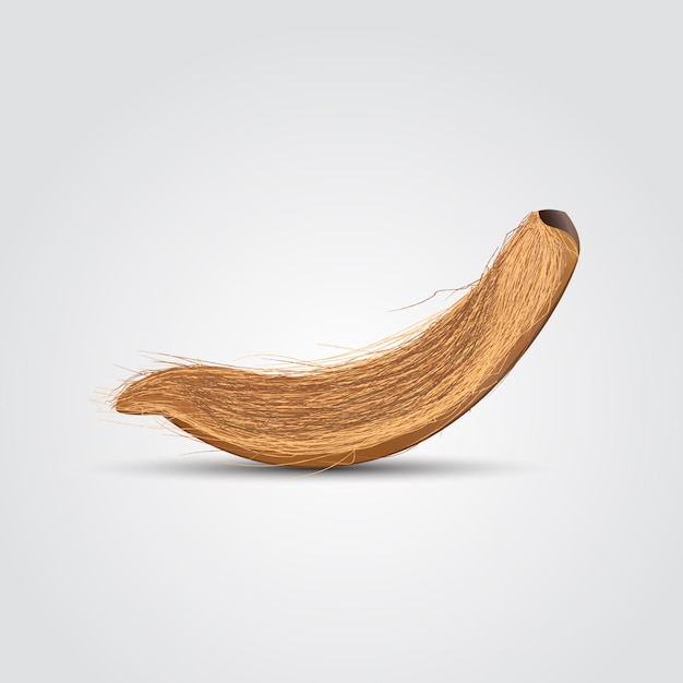 Een kokosnootschil in een 3d illustratie