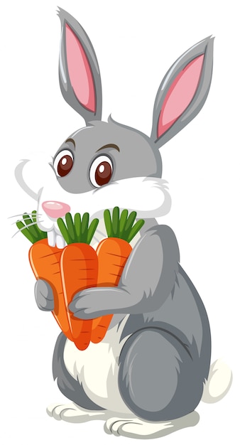 Een konijn met wortel
